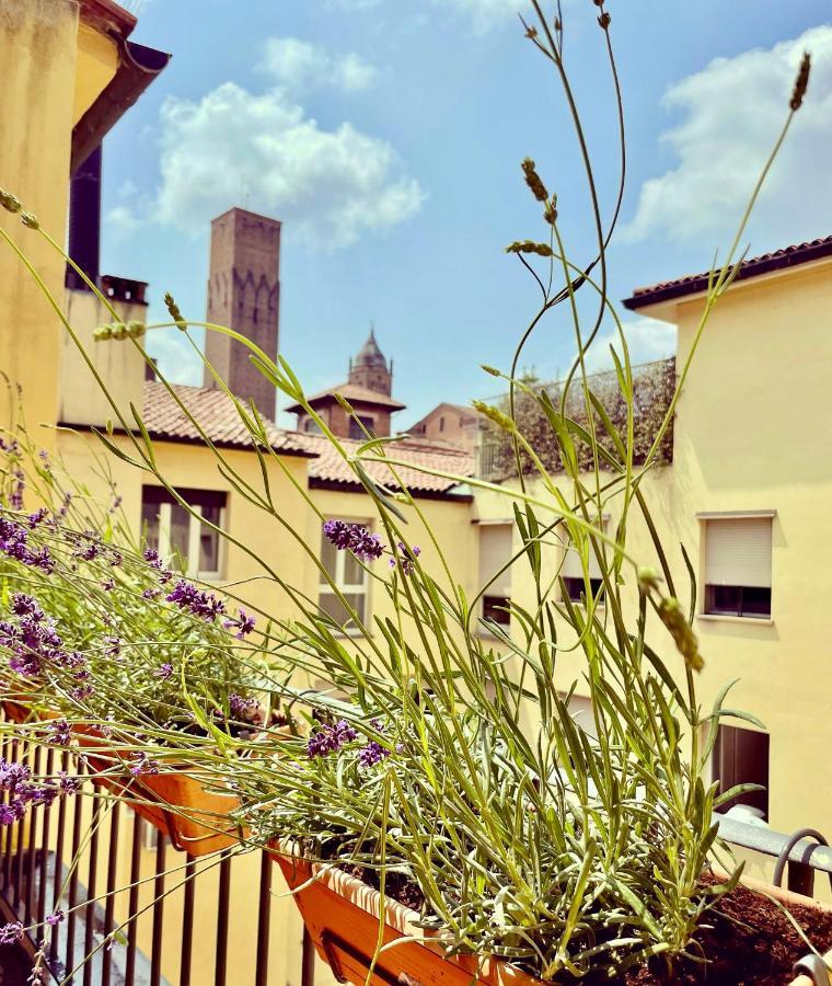 Green House City Center Bologna Eksteriør bilde